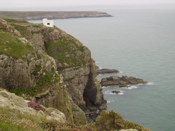 South Stack Cliffs RSPB Reserve-Holyhead必去景点