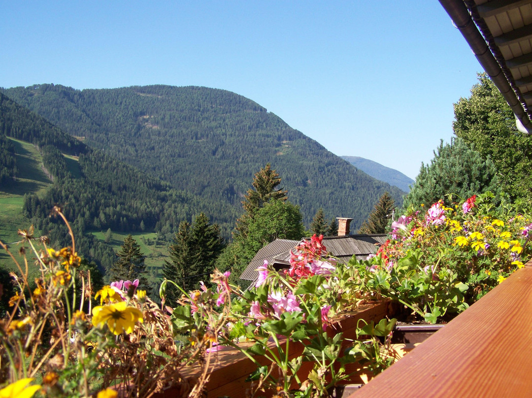 Falkert酒店住宿-Gasthof Raunig