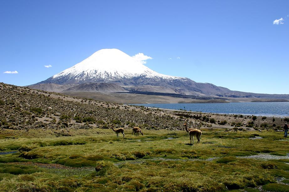 Parque Nacional Lauca-阿里卡必去景点