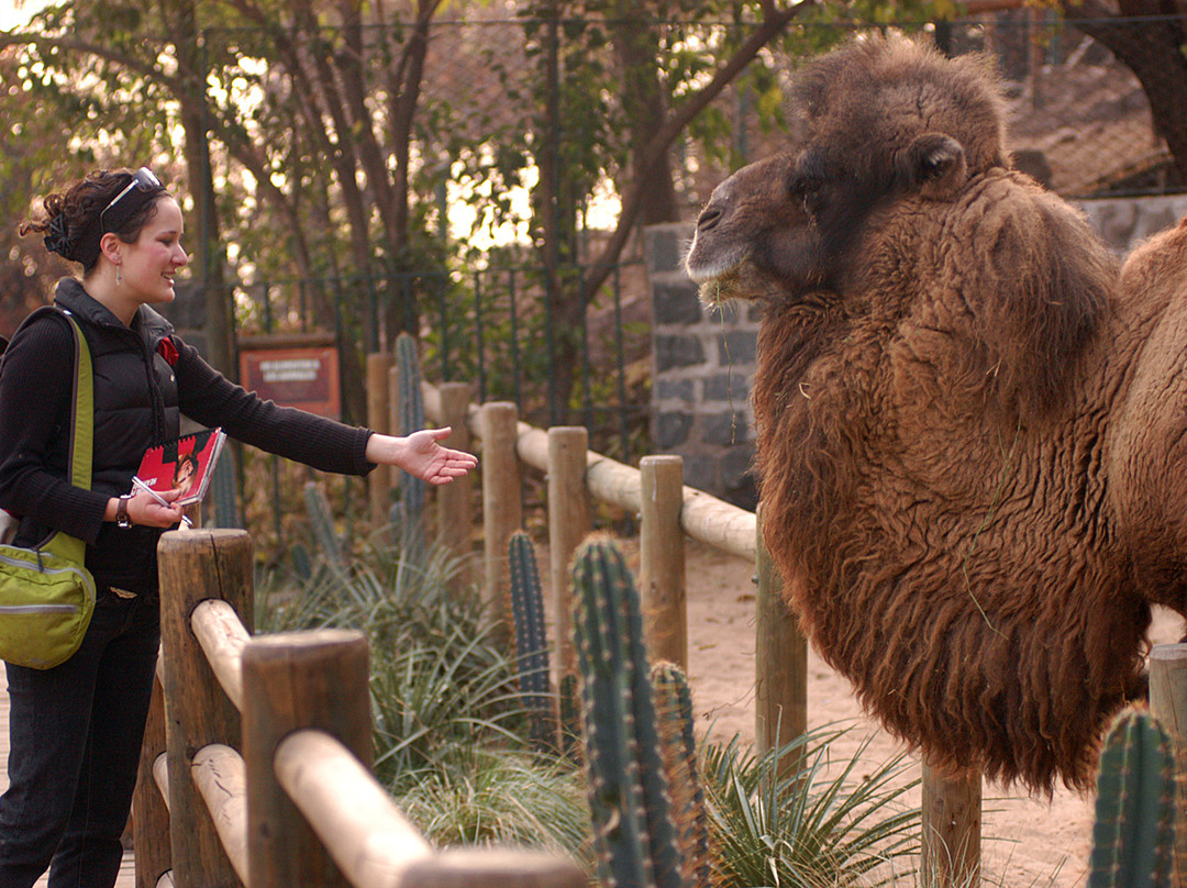 Zoológico Nacional de Chile景点图片