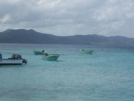 Paradise Island & The Mangroves (Cayo Arena)-Punta Rucia必去景点