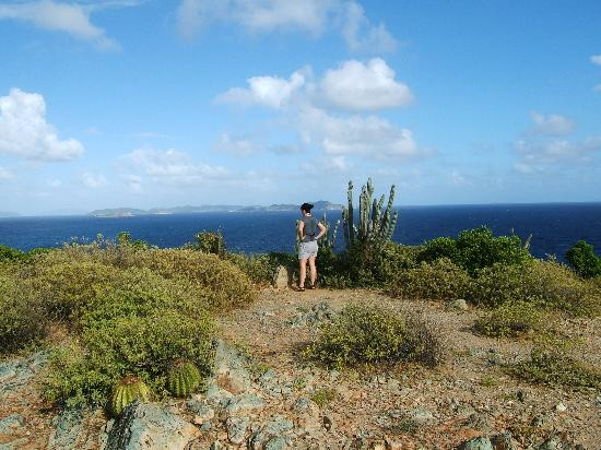 Ram Head Trail-圣约翰必去景点
