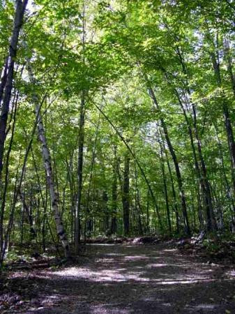 加蒂诺公园-加蒂诺必去景点