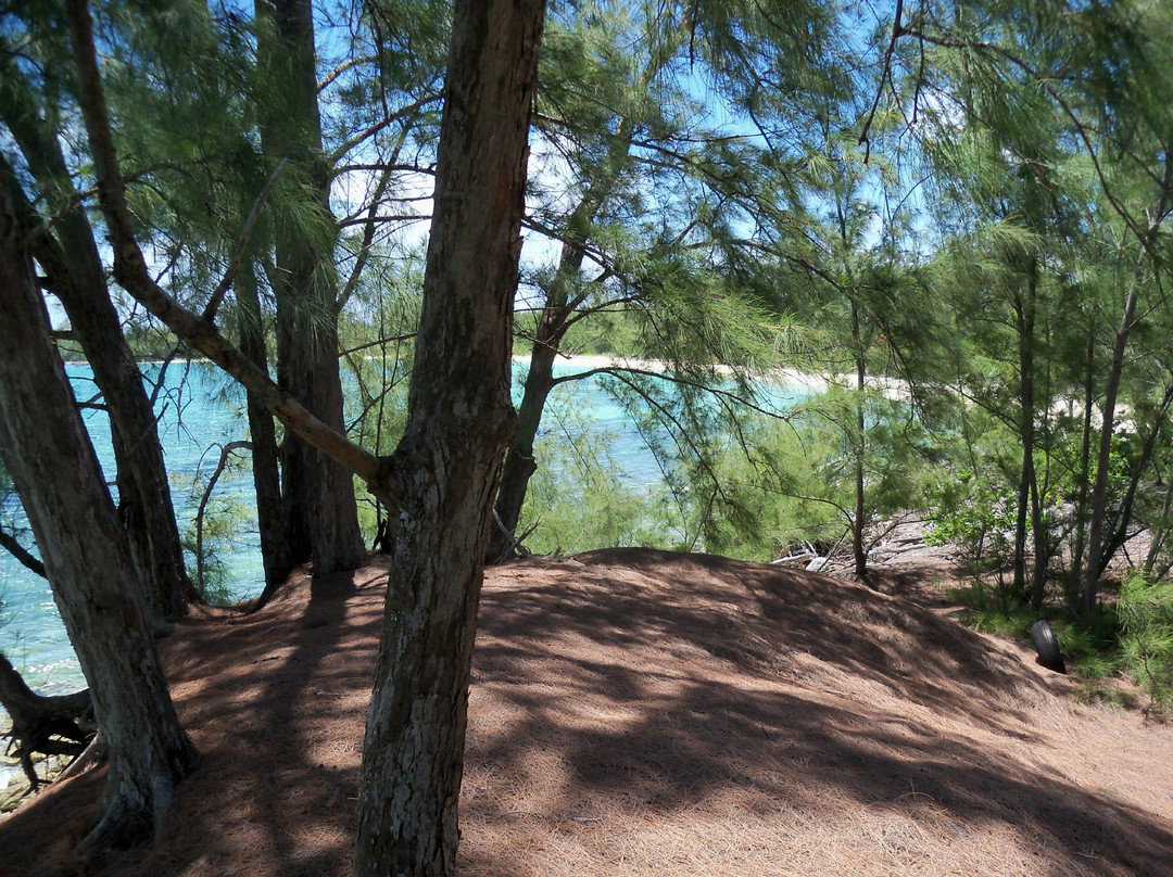 Morgan's Bluff-Andros必去景点