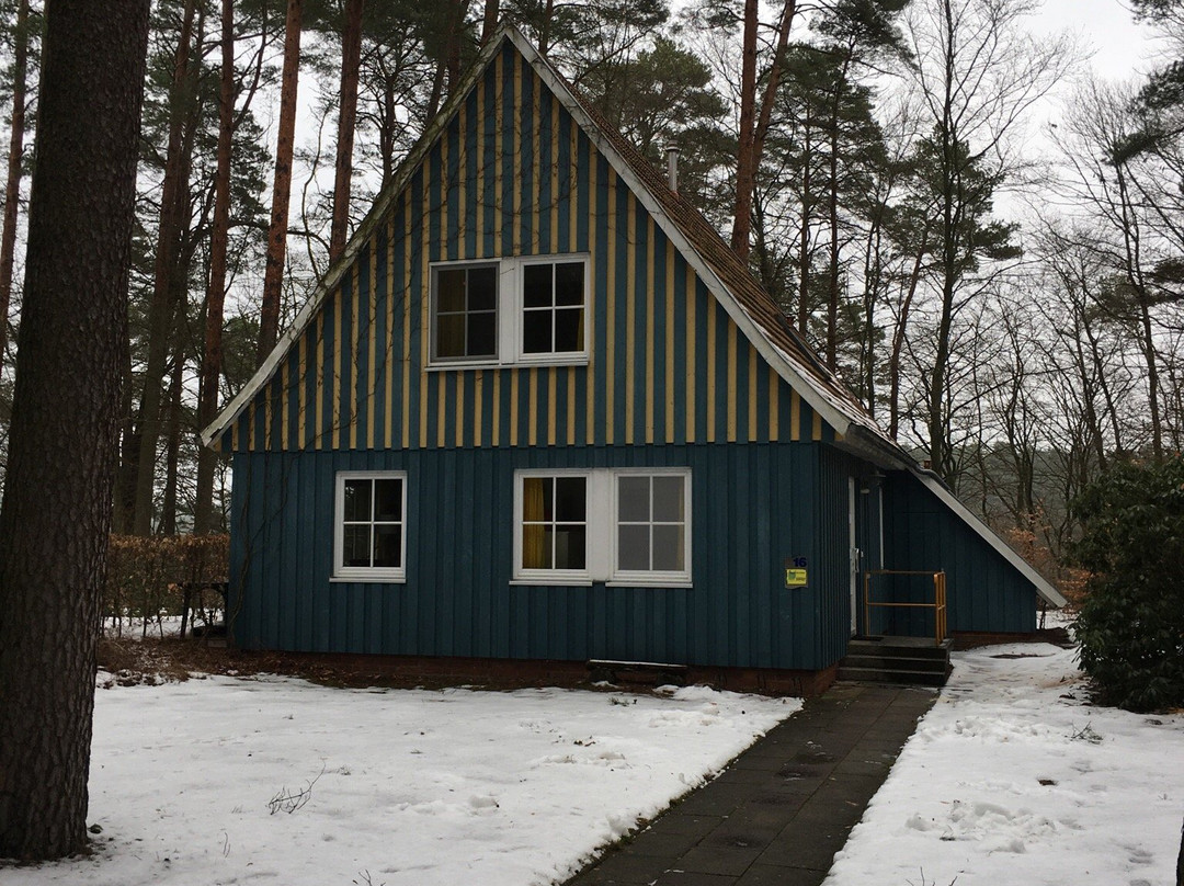 Waldpark am Roofensee