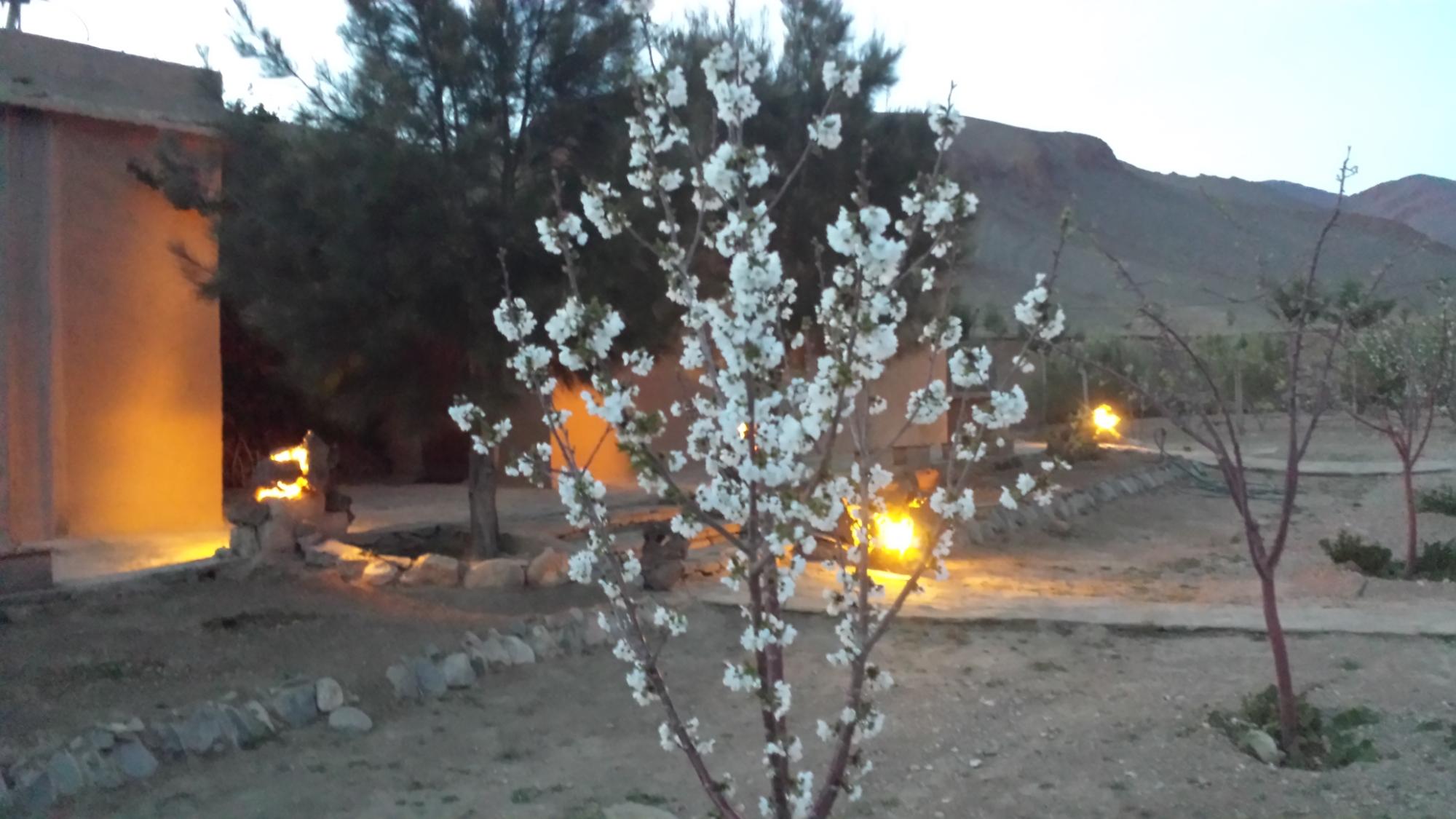 Gîte Ait Daoud-家庭/游戏区
