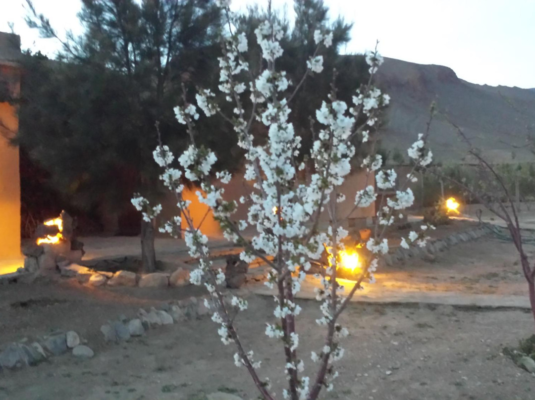 Toumliline酒店住宿-Gîte Ait Daoud