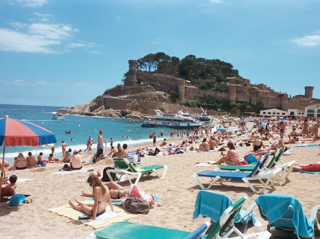 Great Beach景点图片