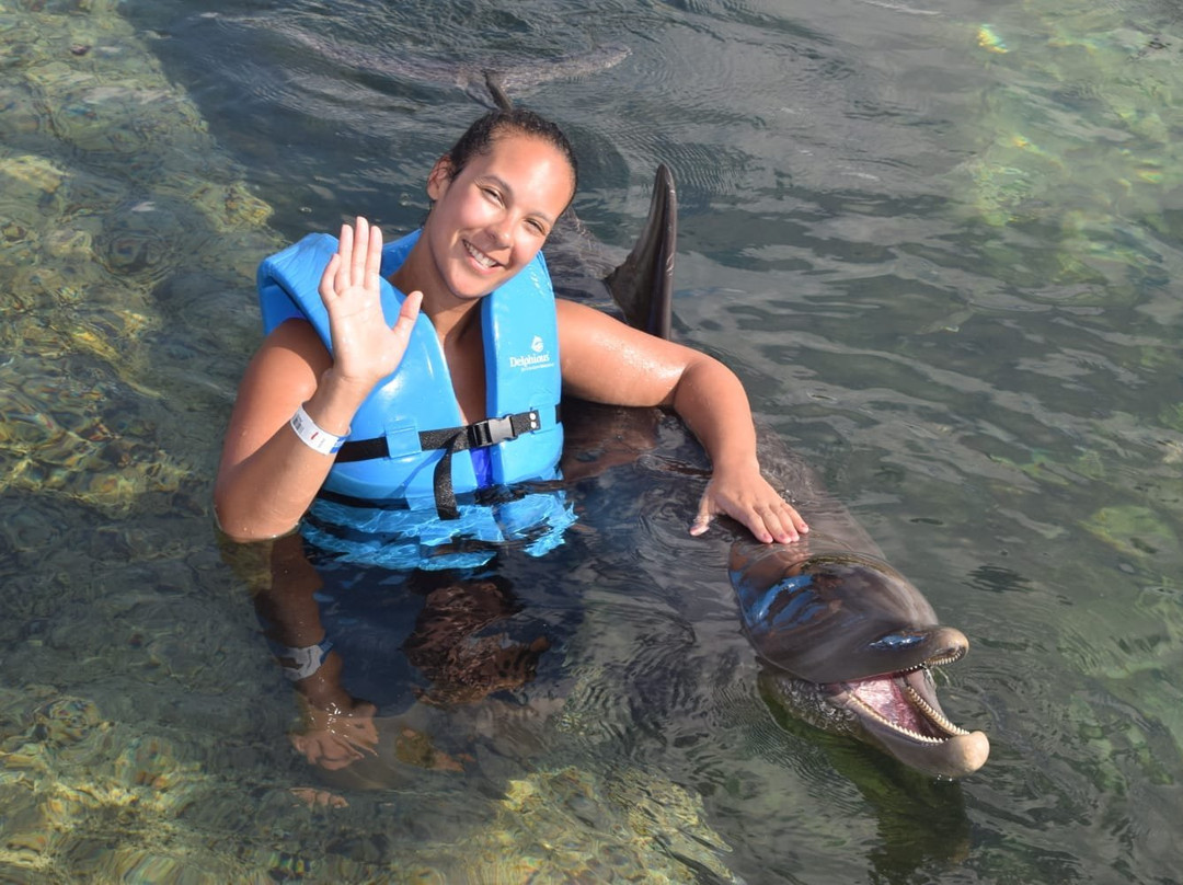 Dolphinaris Riviera Maya Park景点图片