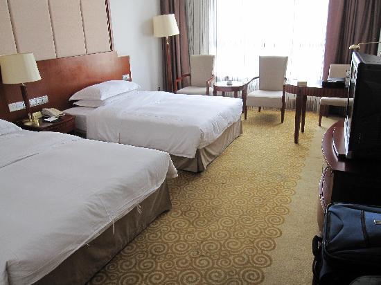 云南震庄迎宾馆-客卧