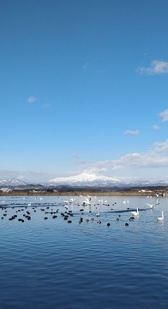 Nonomuratameike Lake景点图片