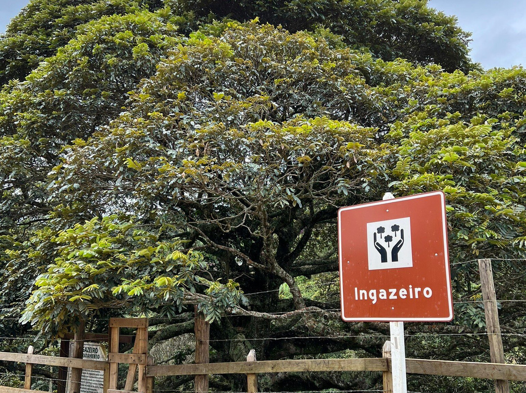 Ingazeiro景点图片