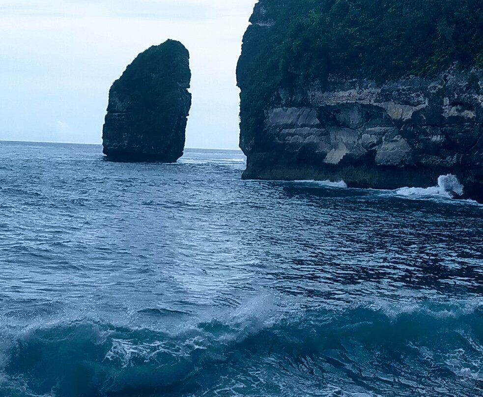 Temeling Jungle Inn主图