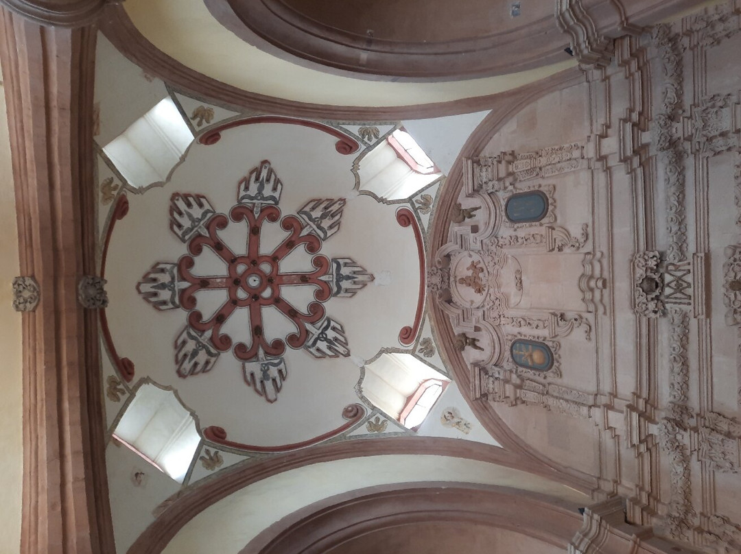 Museo Regional Potosino景点图片