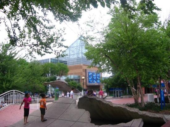 田纳西水族馆-查塔努加必去景点