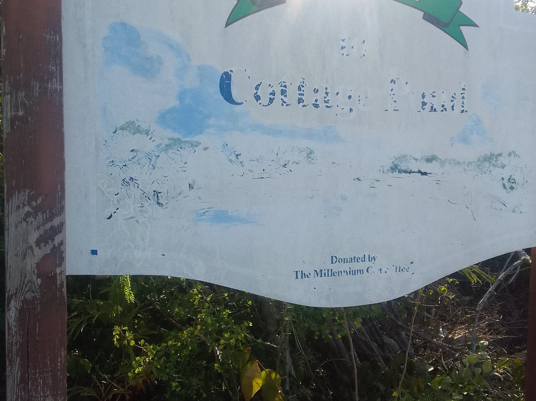 Cottage Pond-North Caicos必去景点