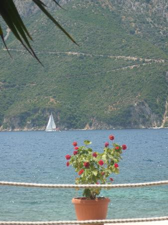 Day Sail Adventures景点图片