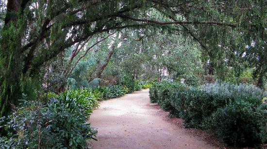 科摩古屋及花园-South Yarra必去景点