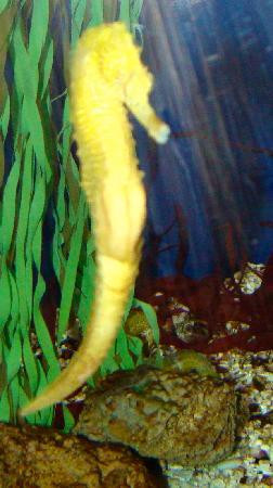 Denver Zoo-丹佛必去景点