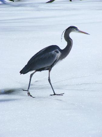 Tulsa Zoo-塔尔萨必去景点