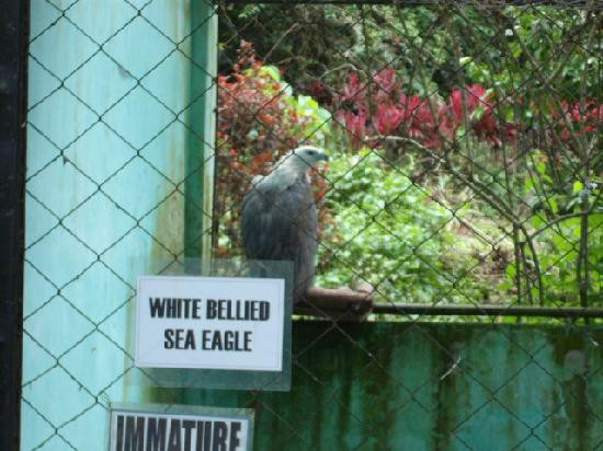 Philippine Eagle Center-达沃必去景点