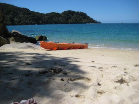 Wilsons Abel Tasman景点图片