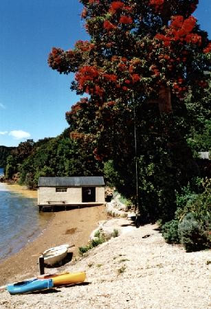 Lochmara  Marlborough Sounds景点图片