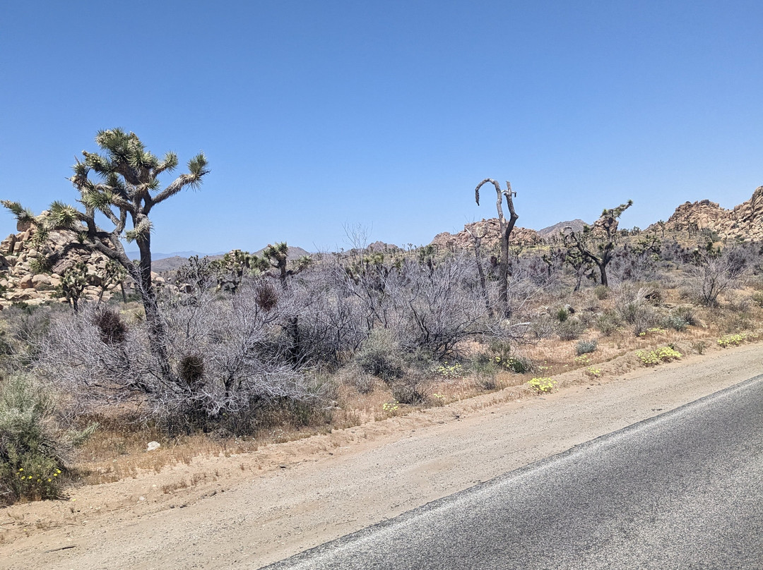 Adventure Hummer Tours and Events-棕榈沙漠必去景点