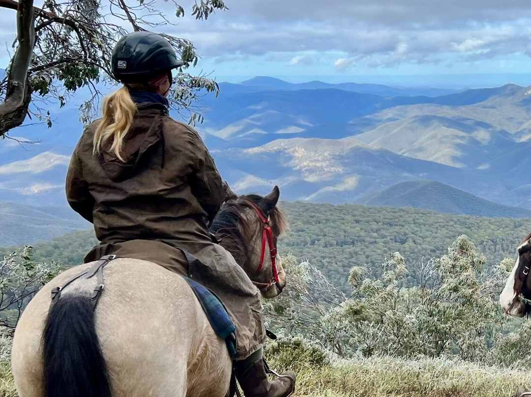 Snowy Range Horseback Tours-Heyfield必去景点