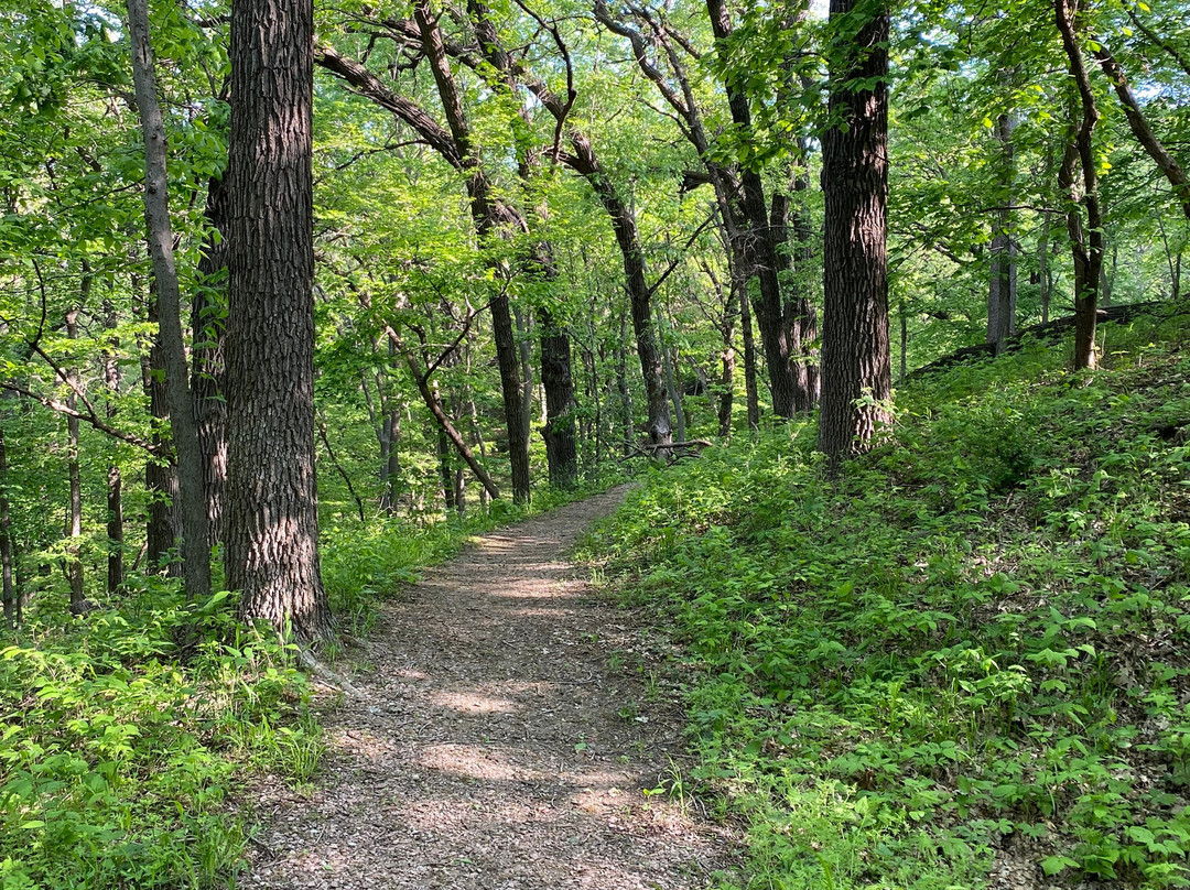 Dorothy Pecaut Nature Center-苏城必去景点
