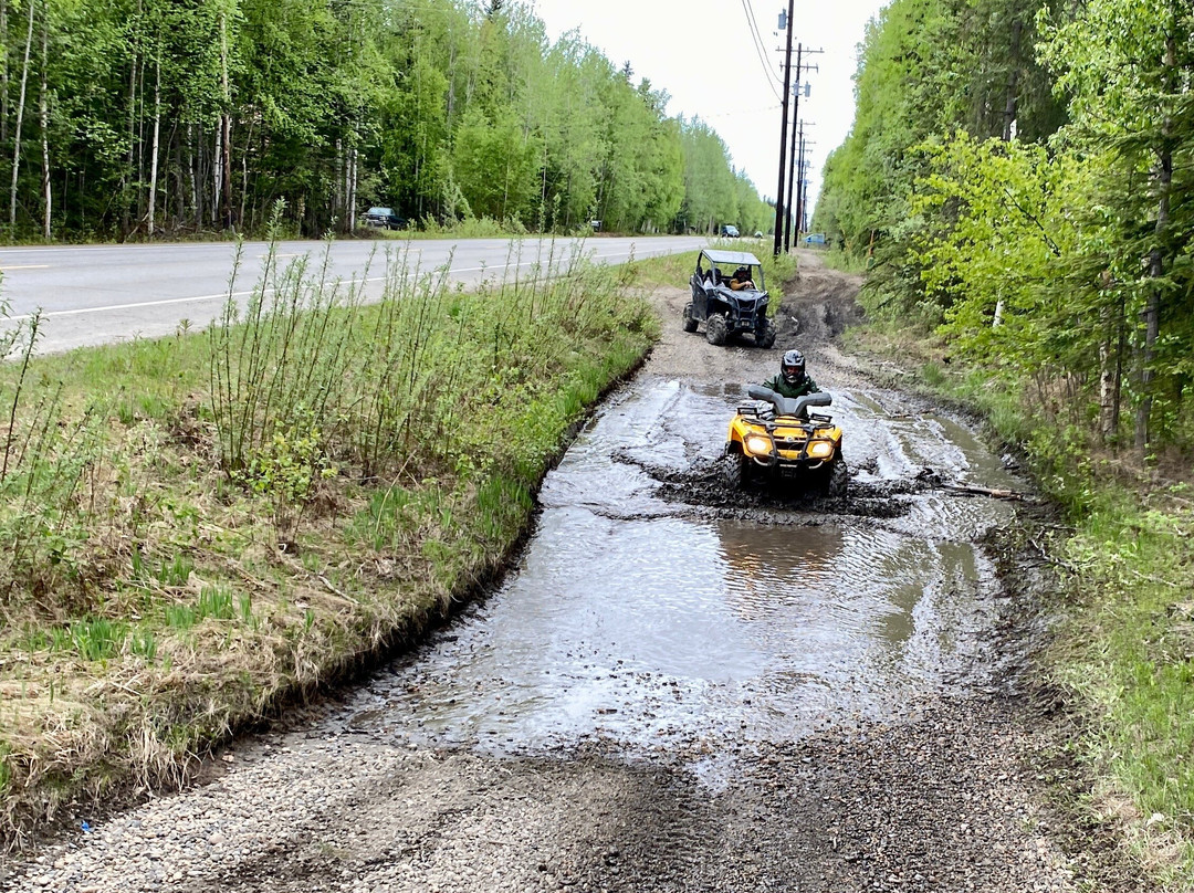 The Alaskan Experience-北极必去景点