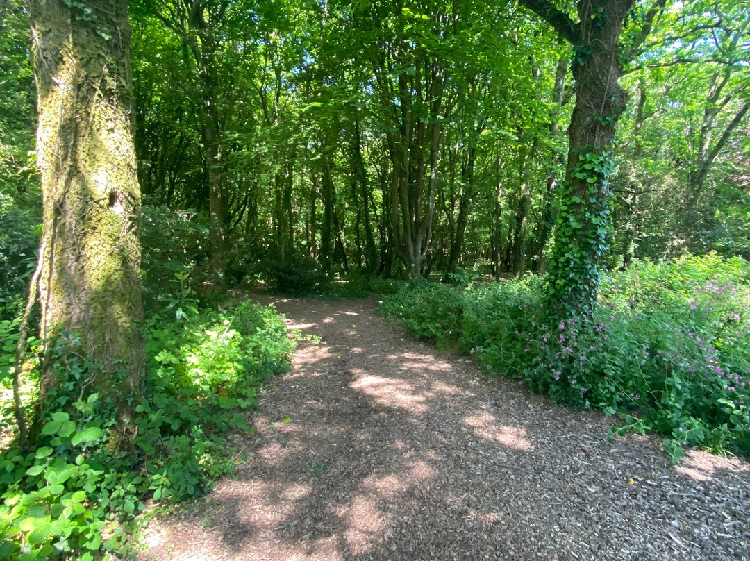Tehidy Country Park-Camborne必去景点