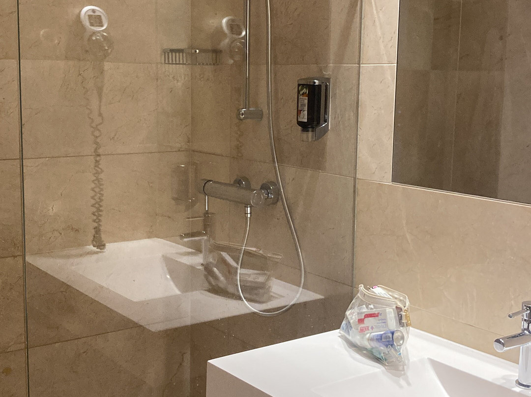 Copernicus Torun Hotel主图