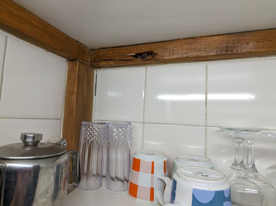 Mintaro Hideaway主图