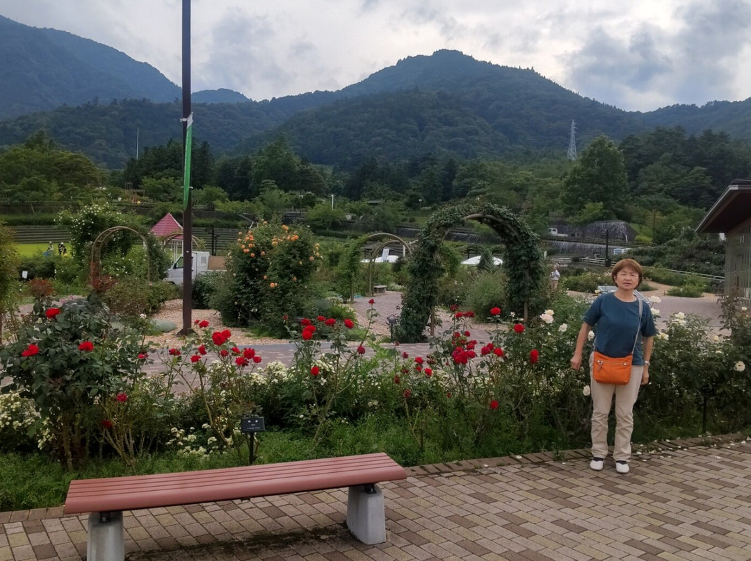 Fujikawa Craft Park景点图片