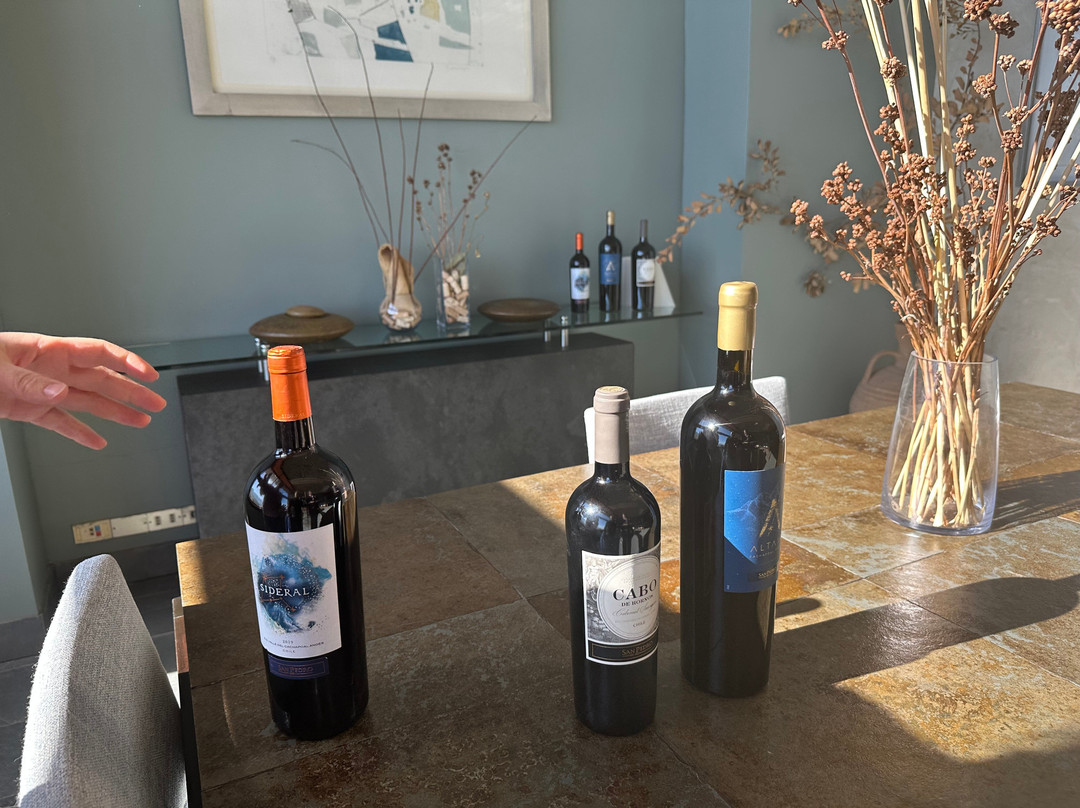 Vina San Pedro景点图片