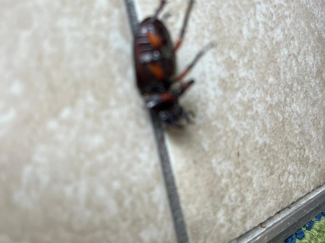 Quality Inn Murray University Area主图