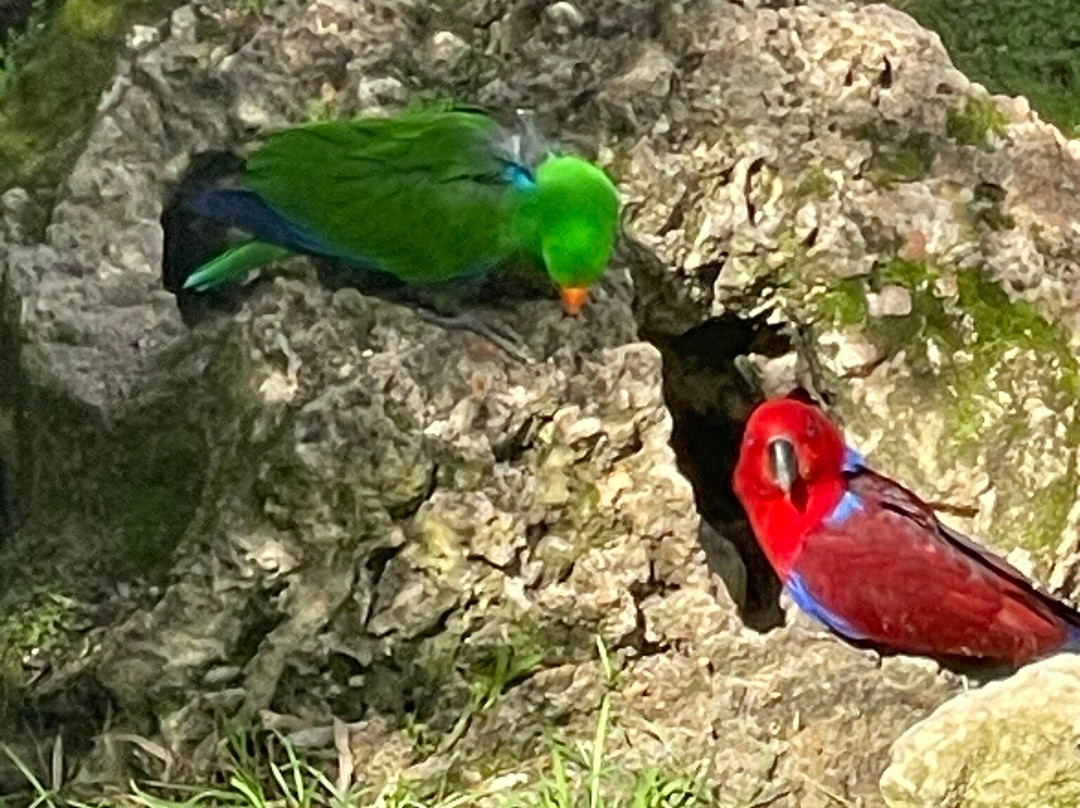 Bunbury Wildlife Park-班伯利必去景点