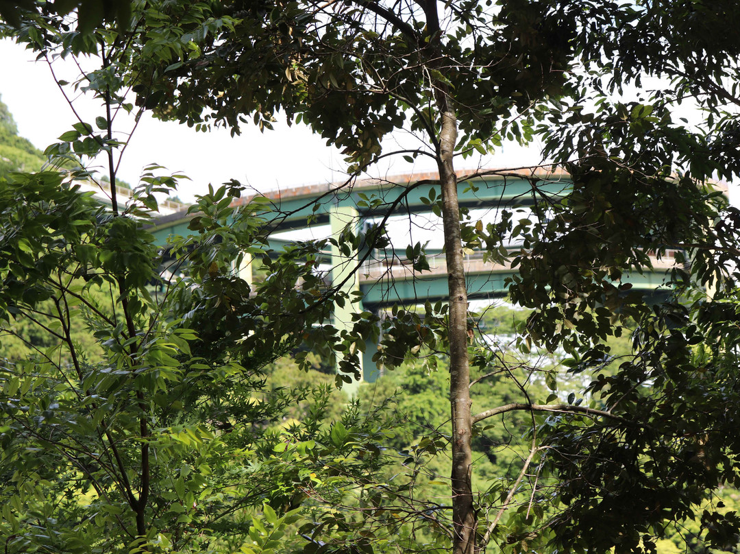 Kawazu Nanadaru Loop Bridge景点图片