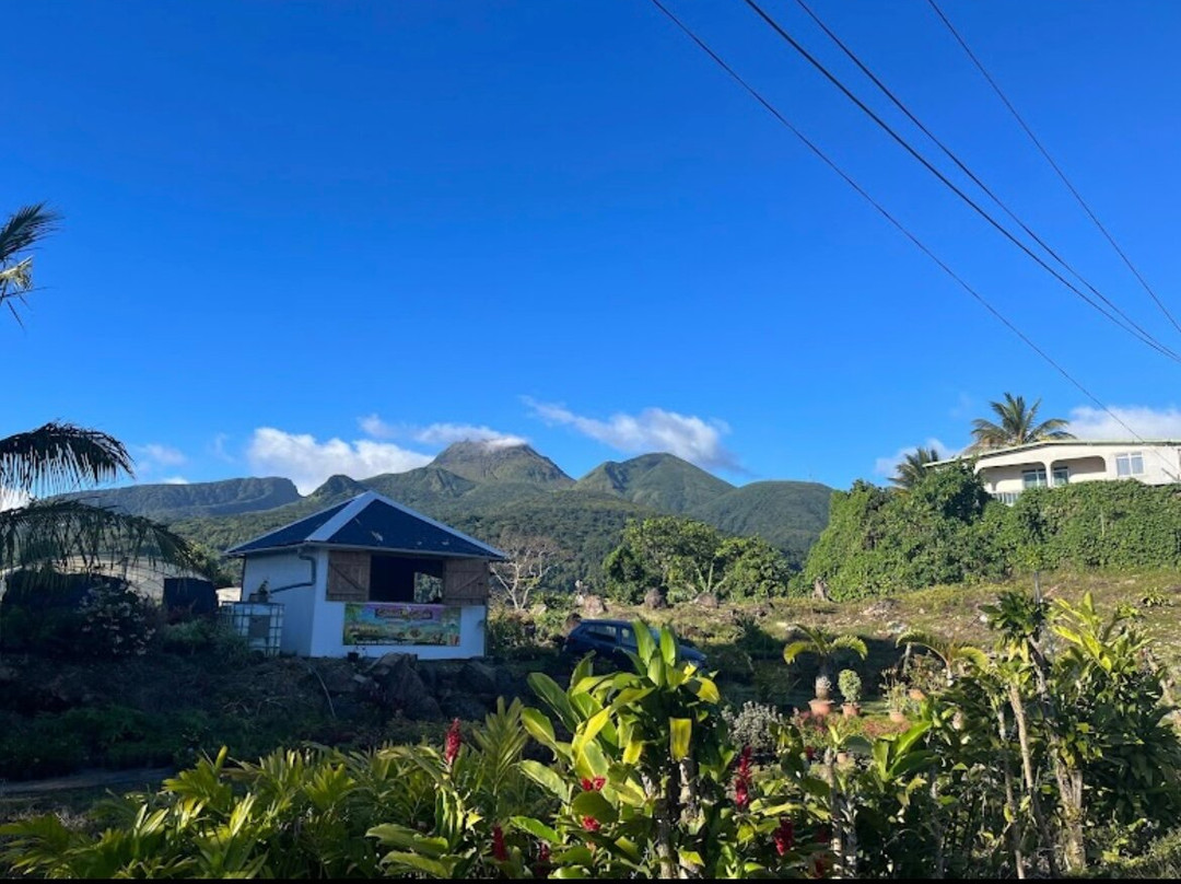Cascades du Bassin Bleu-Gourbeyre必去景点