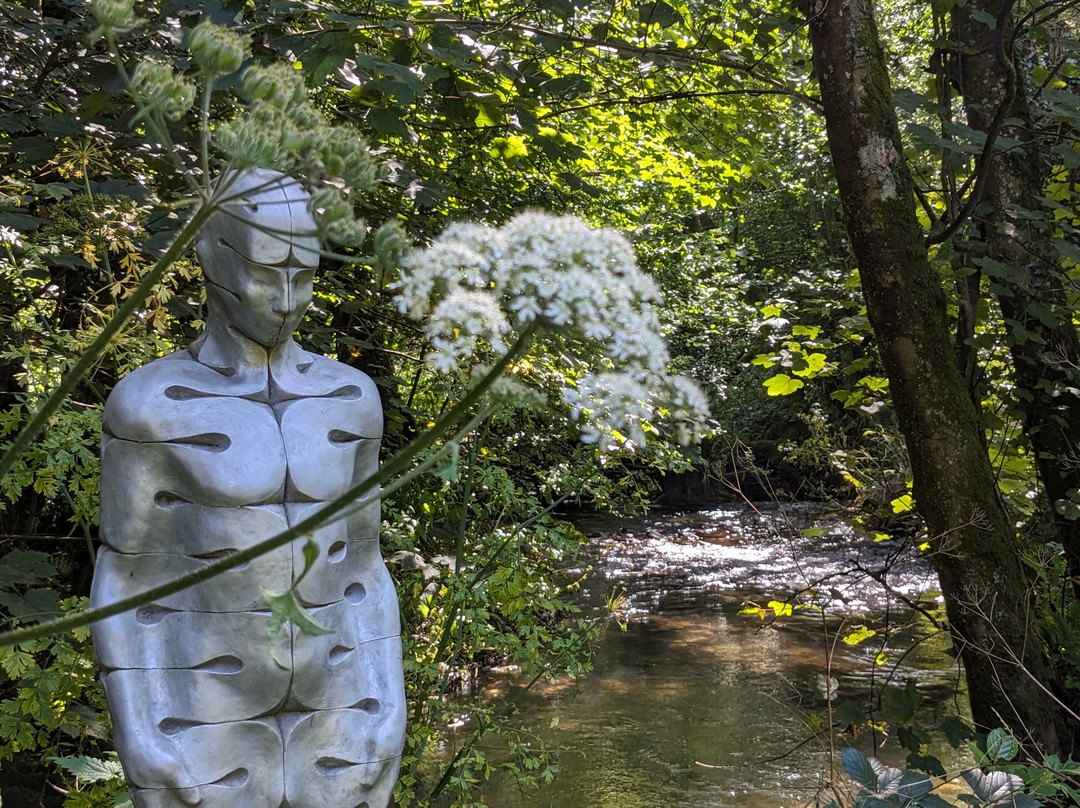 Broomhill Estate Sculpture Gardens景点图片