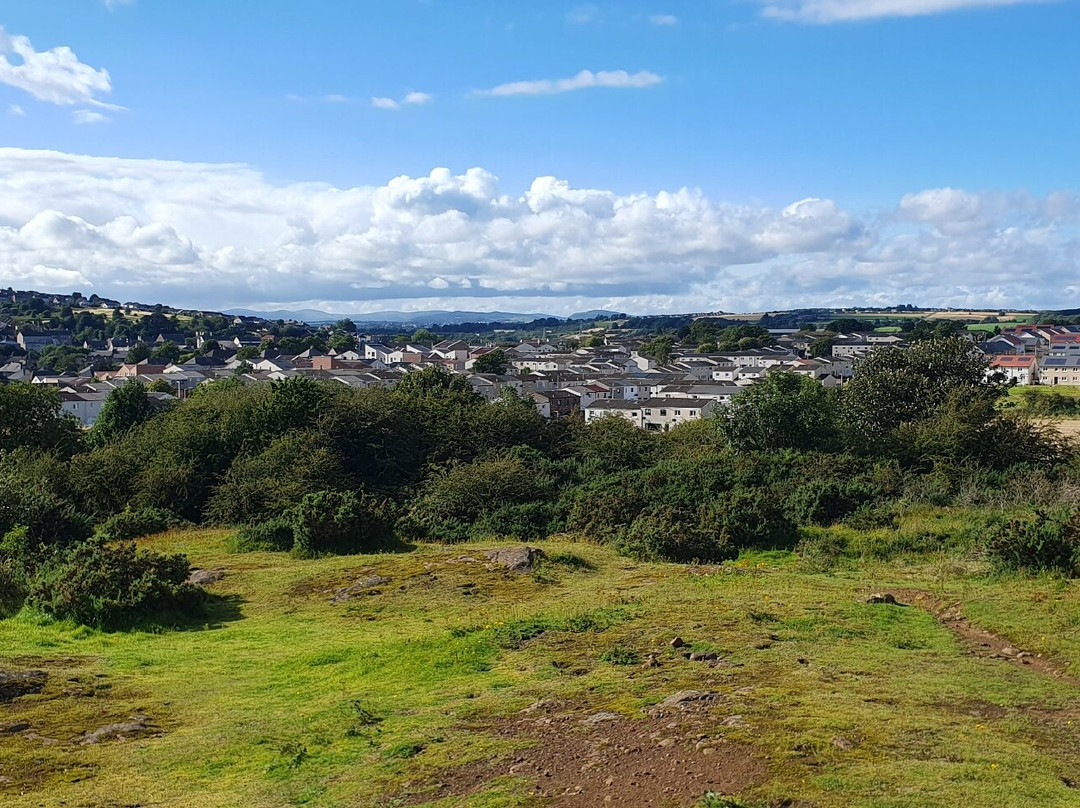 Letham Hill Wood-Inverkeithing必去景点