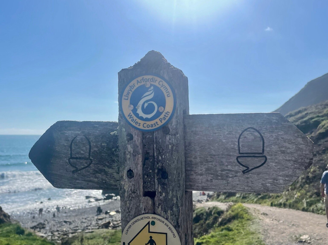 Foxdale Guest House and Campsite主图