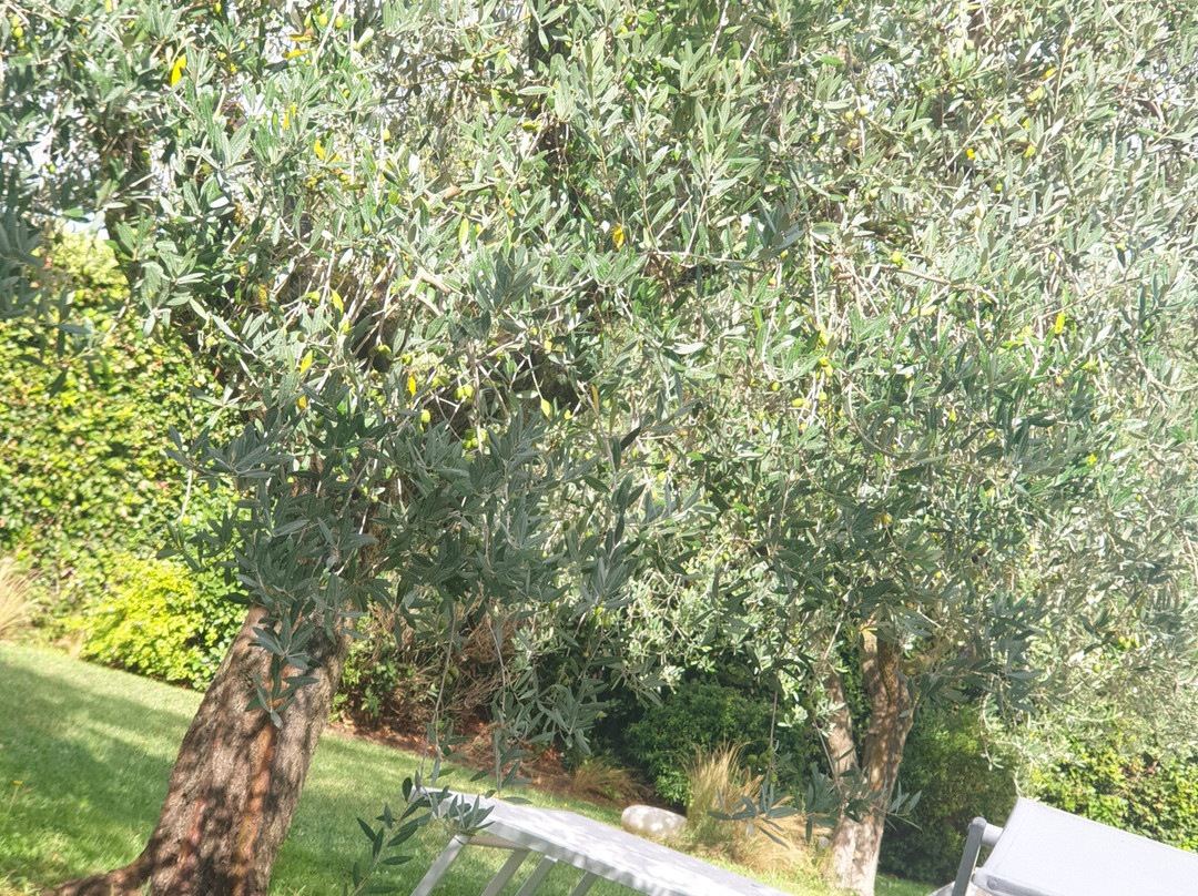 La Posta di Torrenova主图