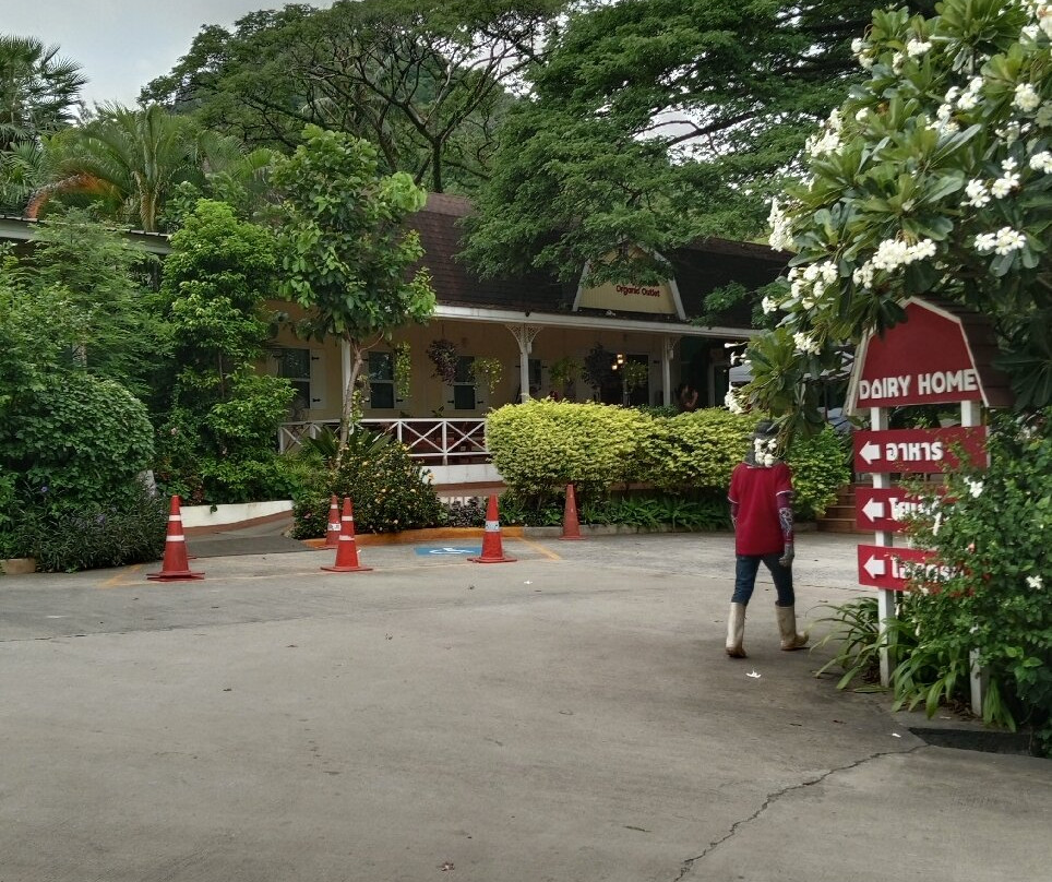 Dairy Home Farm Shop-北冲县必去景点