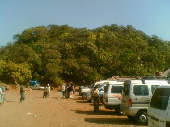 Bhimashankar Temple景点图片