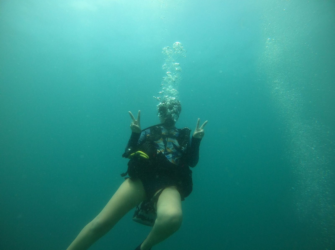 Vallarta Natural Experience-瓦拉塔港必去景点