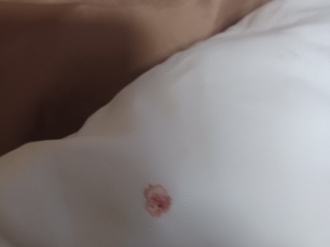 Quality Inn Albertville US 431主图