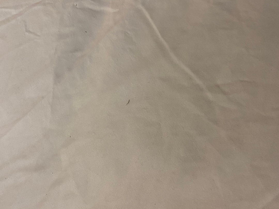 伊丽莎白城伊克诺旅馆