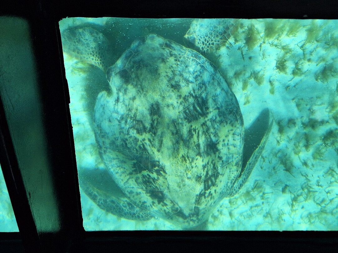 Ouest Corail-Bourail必去景点